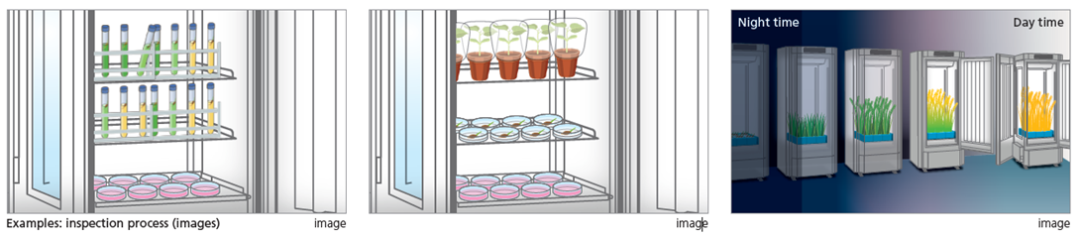 1768356188637144.png 640 (2).png