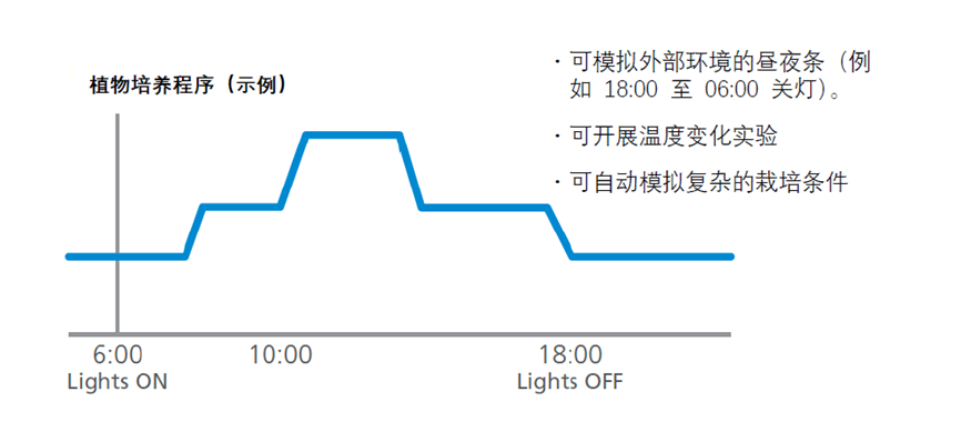 1768356194596918.png 640 (3).png